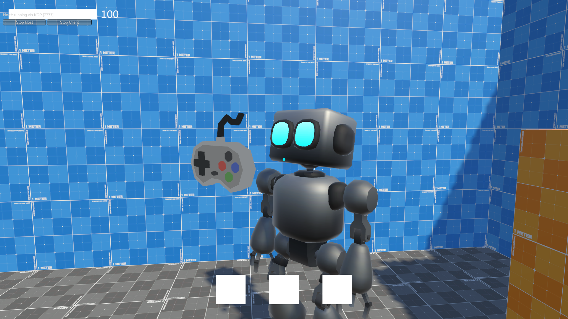 Project Company